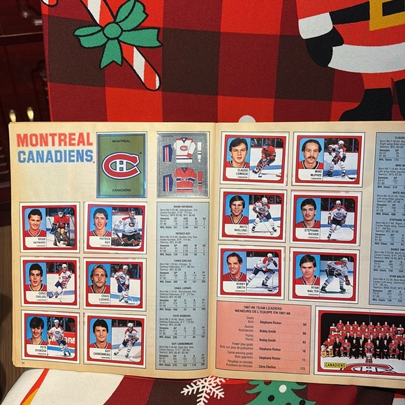 1988-89 NEAR COMPLETE Panini Hockey NHL Sticker Book Full Lemieux Gretzky Roy - Picture 16 of 17